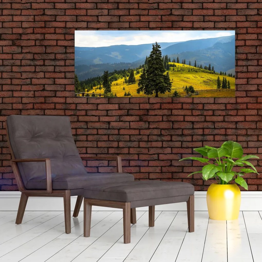 Obraz - Horská lúka (120x50 cm)