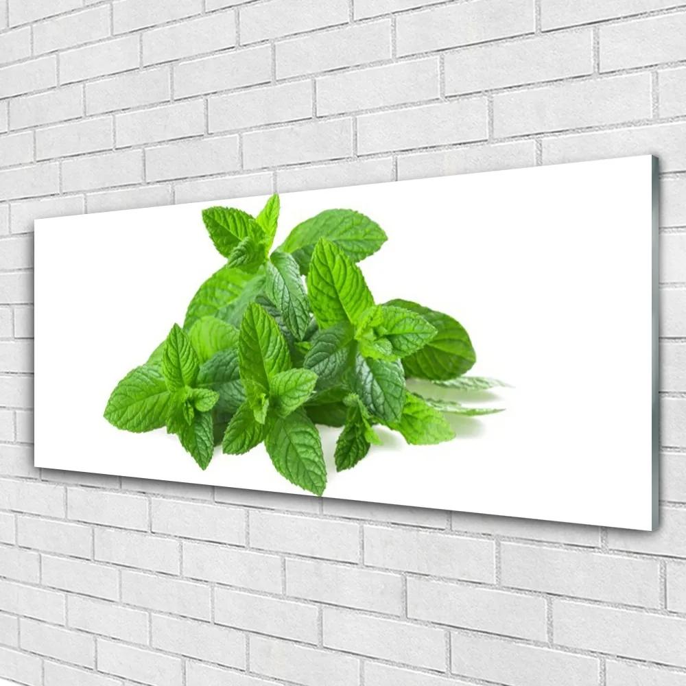 Obraz plexi Mäta rastlina príroda 125x50 cm