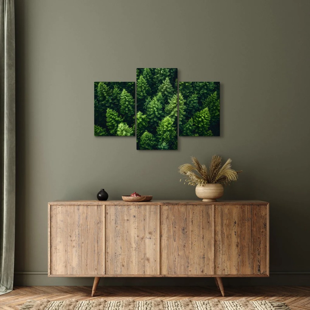 Obraz - Les (90x60 cm)