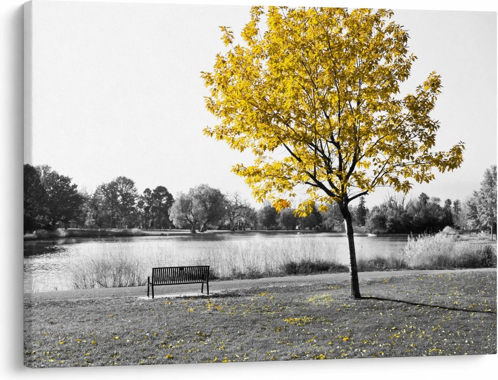 Obraz - Odpočinok v parku (70x50 cm)