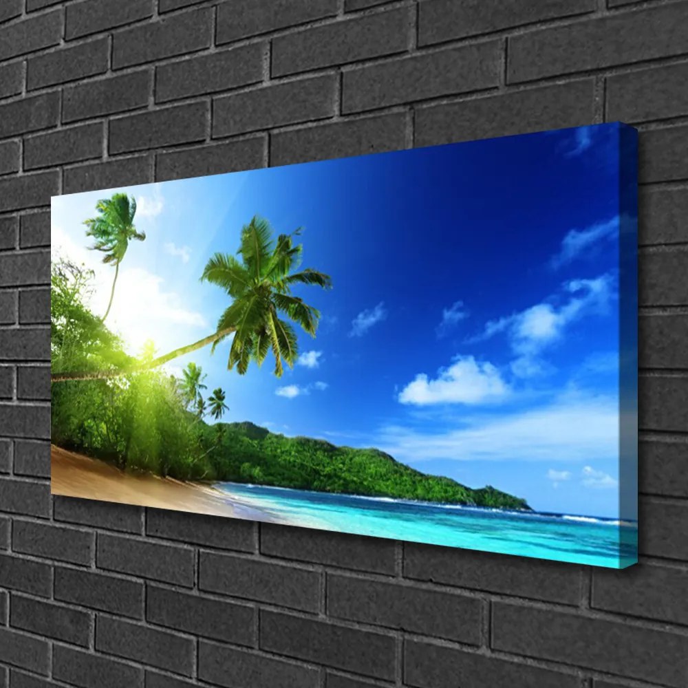 Obraz Canvas Pláž more palma krajina 120x60 cm