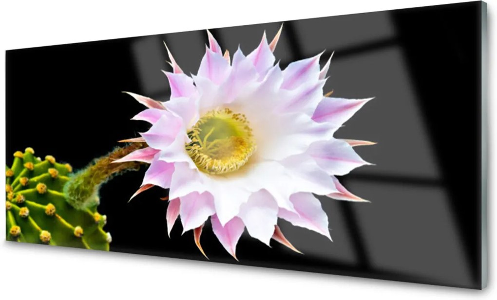 Obraz na skle sklenený Kvet