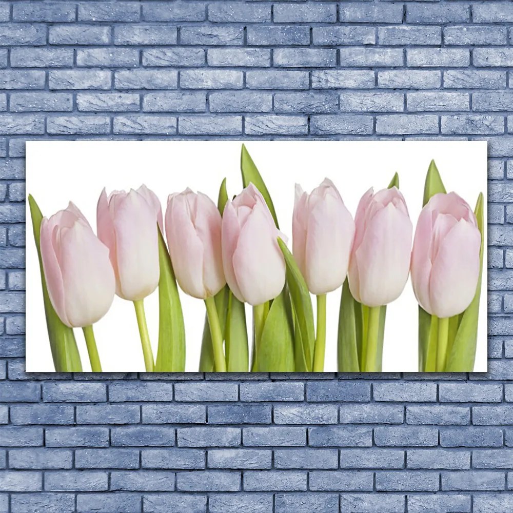 Obraz plexi Tulipány kvety rastlina 120x60 cm