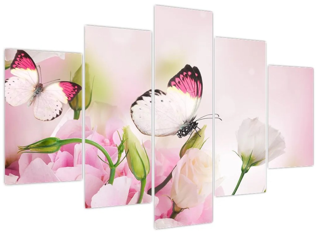 Obraz - Motýľ (150x105 cm)