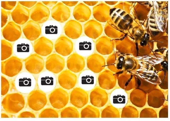 Deka Koláž včely 360g/m² 140x200 cm