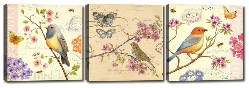 Sada 3 obrazov Tablo Center Birds