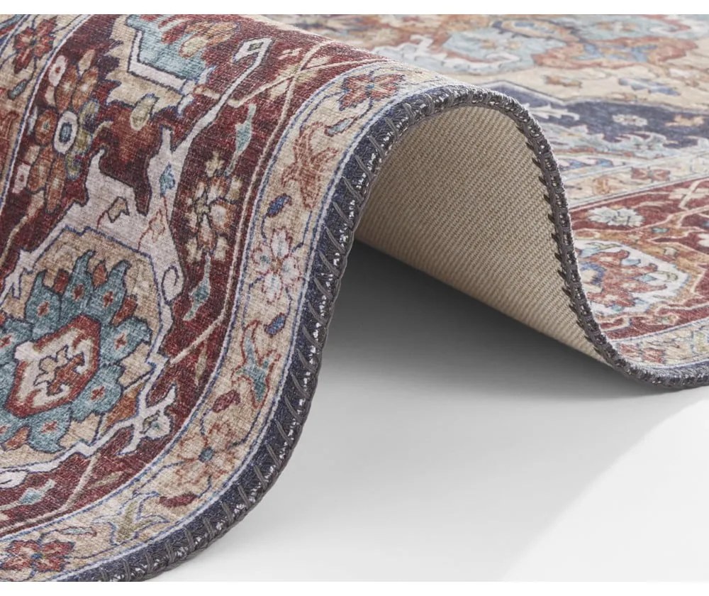 Tmavomodro-červený koberec Nouristan Sylla, 200 x 290 cm