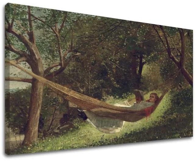 Obraz na plátne Winslow Homer - Dievča v hojdacej sieti | rôzne rozmery