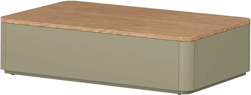 Konferenčný stolík Elivo 100x60 cm so zásuvkami - eukalyptus / dub baltic dune