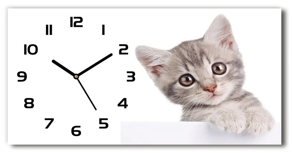 Vodorovné Moderné sklenené hodiny na stenu Sivá mačka pl_zsp_60x30_f_80791907