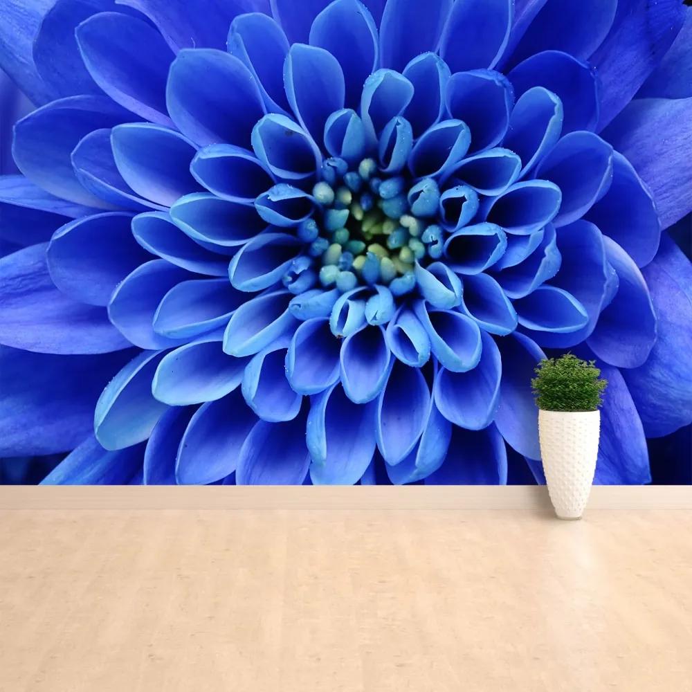 Fototapeta Vliesová Modrý kvet 104x70 cm