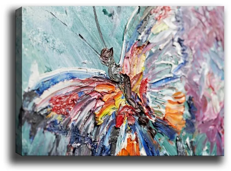 Obraz BUTTERFLY 70 x 100 cm