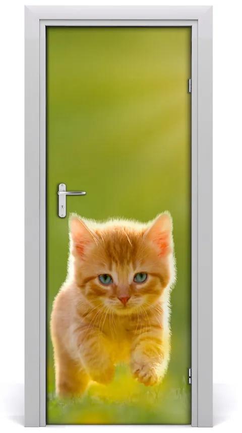 Samolepiace fototapety na dvere červená mačka 75x205 cm