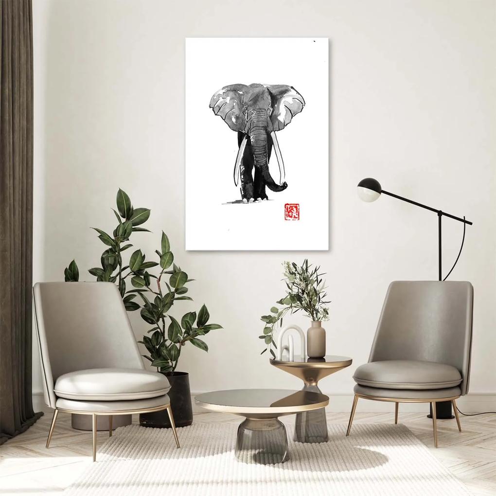 Gario Obraz na plátne Čiernobiely slon - Péchane Rozmery: 40 x 60 cm
