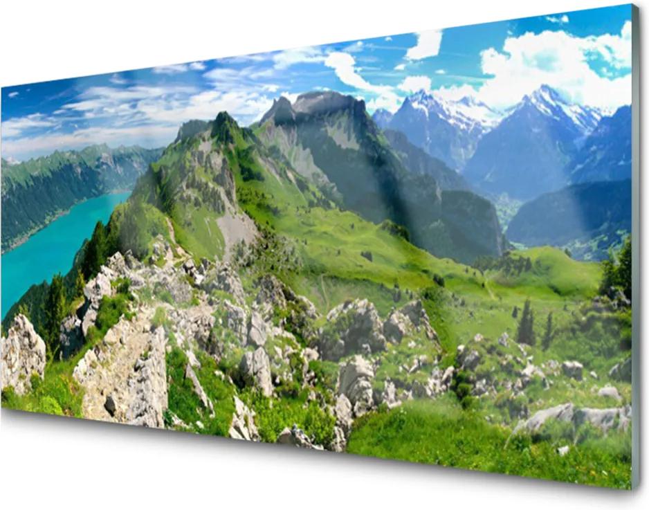 Plexisklo obraz Louka hory krajina příroda