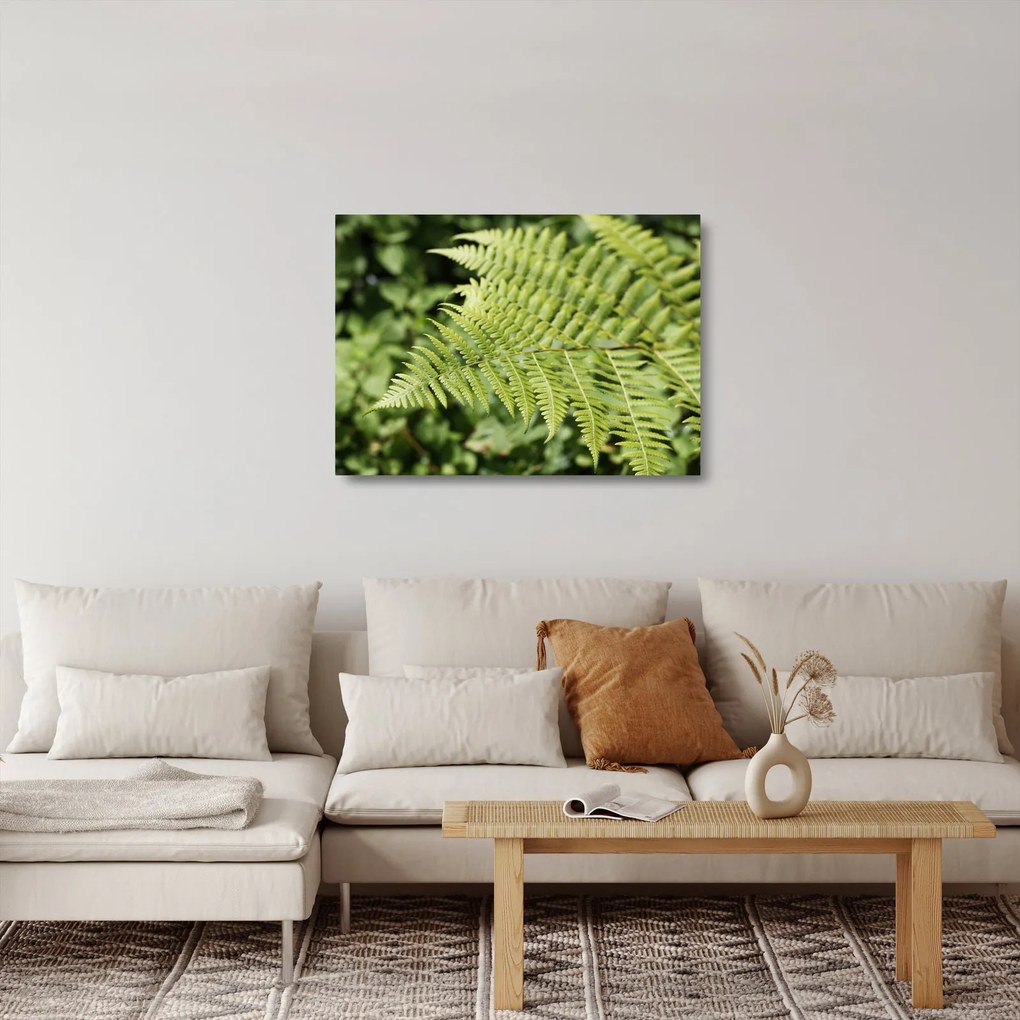 Sklenený obraz - Papradinový list (70x50 cm)