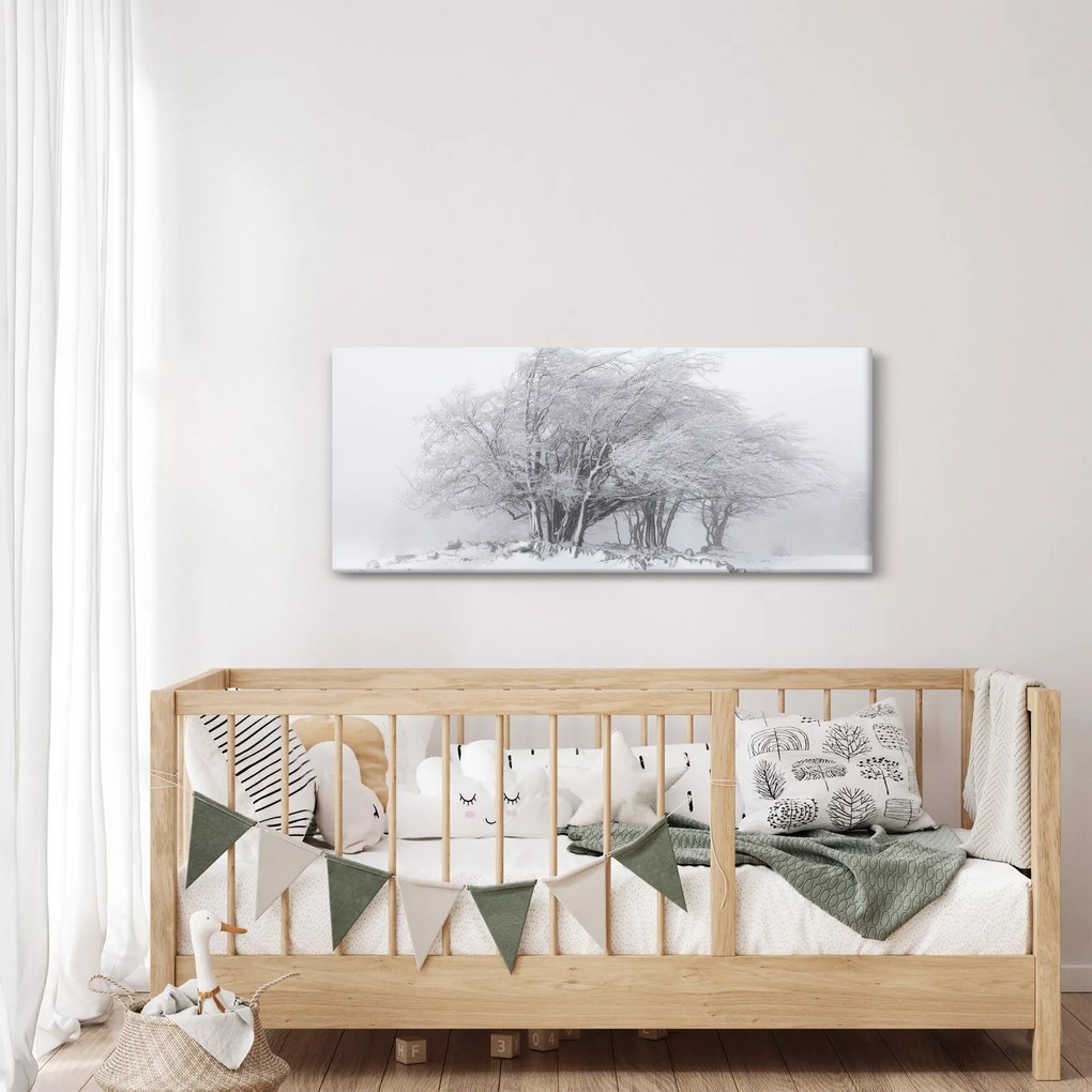 Obraz - Biela zima (120x50 cm)