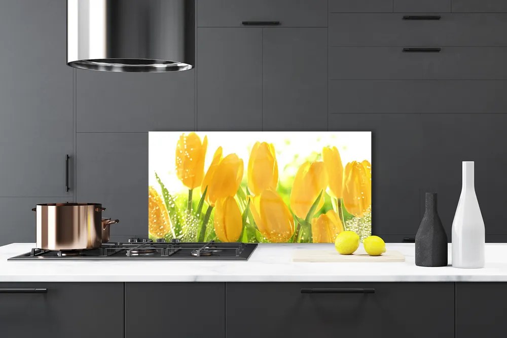 Sklenený obklad Do kuchyne Tulipány kvety rastlina 100x50 cm