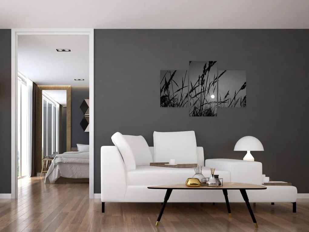 Obraz - Lúka so západom slnka (90x60 cm)
