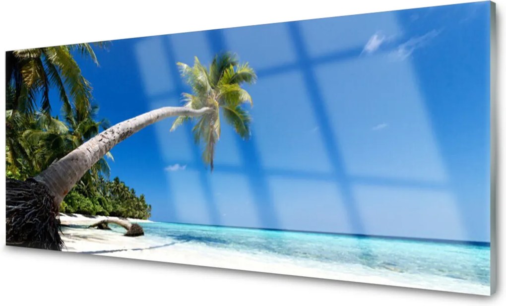 Skleněný obraz Pláž Palma More Krajina