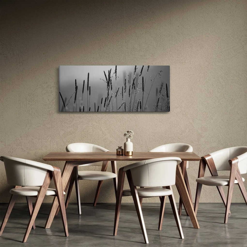 Obraz - Steblá trávy (120x50 cm)
