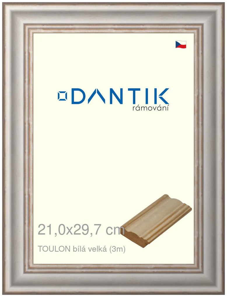 DANTIK rám na obraz 21x29,7 | TOULON bílá velká (Sklo Čiré)