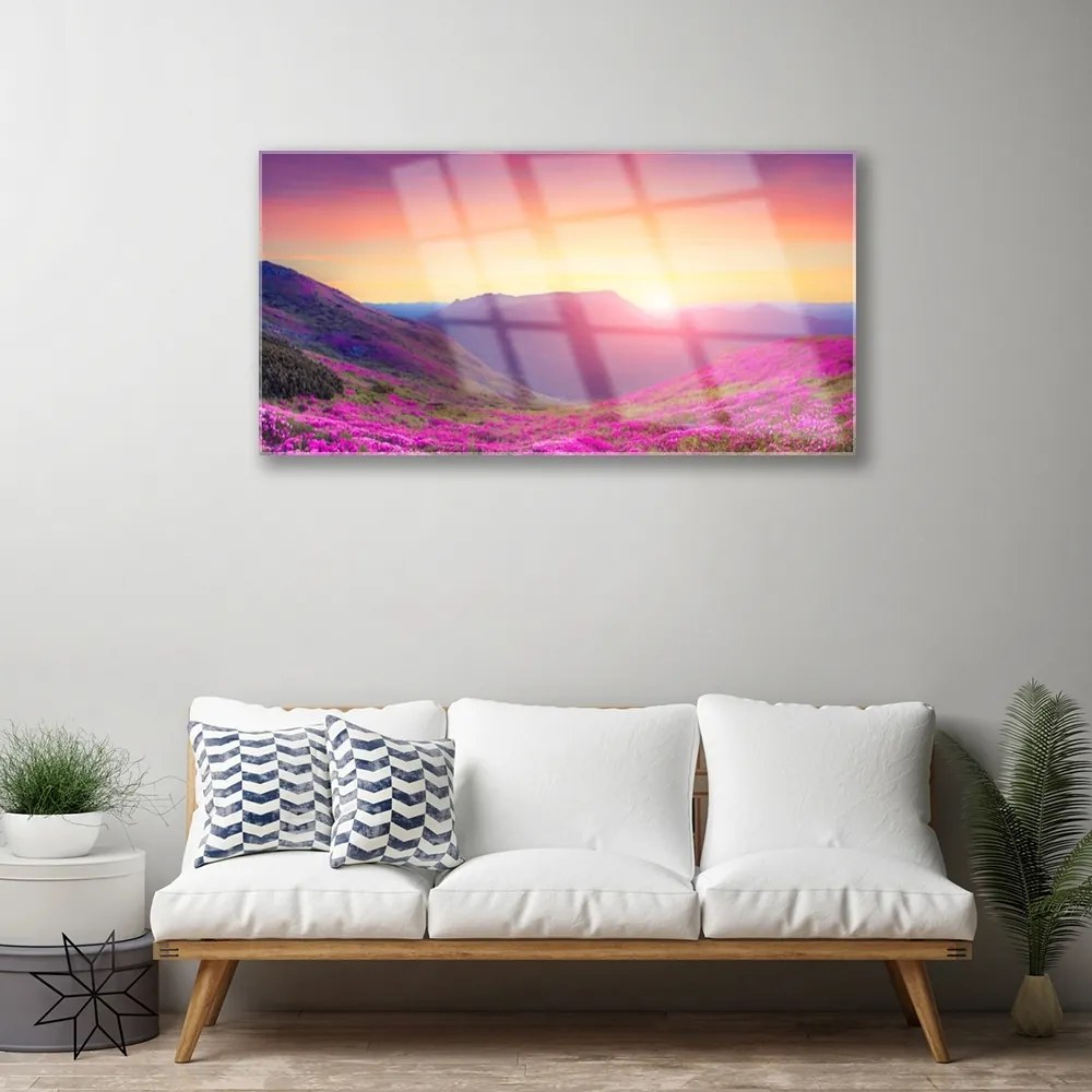 Skleneny obraz Slnko hory lúka príroda 125x50 cm