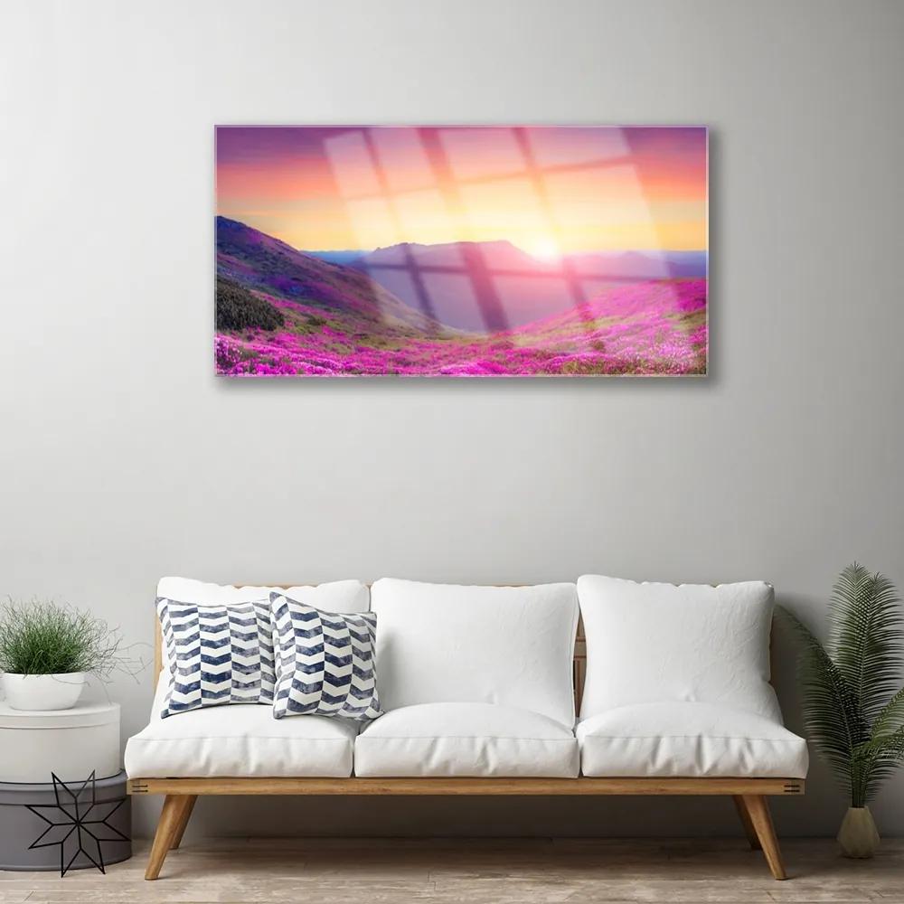 Skleneny obraz Slnko hory lúka príroda 140x70 cm