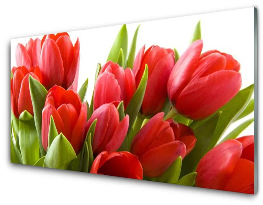 Obraz na skle Tulipány kvety rastlina 125x50 cm