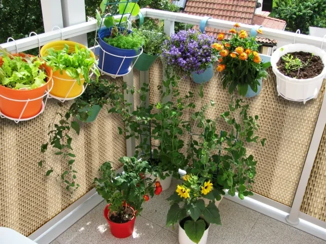 BALKÓNOVÁ ZÁSTENA - UMELÝ RATAN - rozmer a farba na prianie 45 cm RD02 - tmavo hnedá