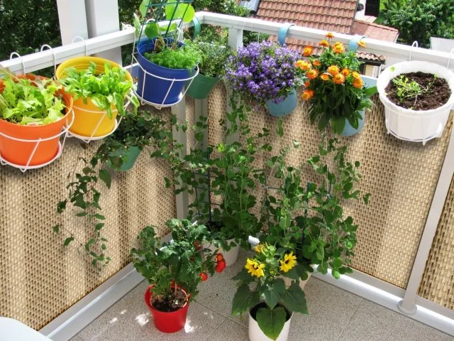 BALKÓNOVÁ ZÁSTENA - UMELÝ RATAN - rozmer a farba na prianie 70 cm RD04 - čierna