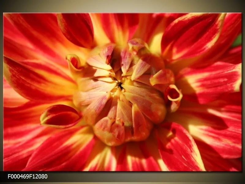 Obraz na plátne Červeno žltý kvet, Obdĺžnik 120x80cm 87,92 €