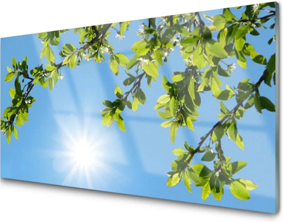Obraz na akrylátovom skle Sklenený Slnko Príroda
