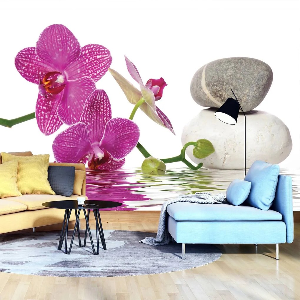 Fototapeta - Orchidey (152,5x104 cm)