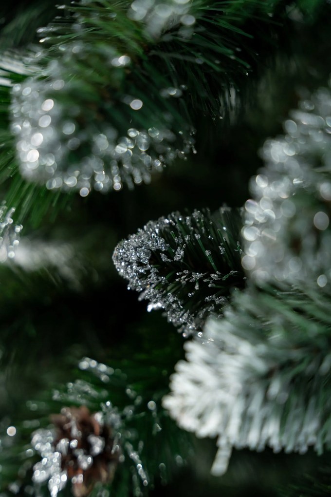 Limpol Vianočný stromček Borovica Verona Výška stromčeka: 240 cm