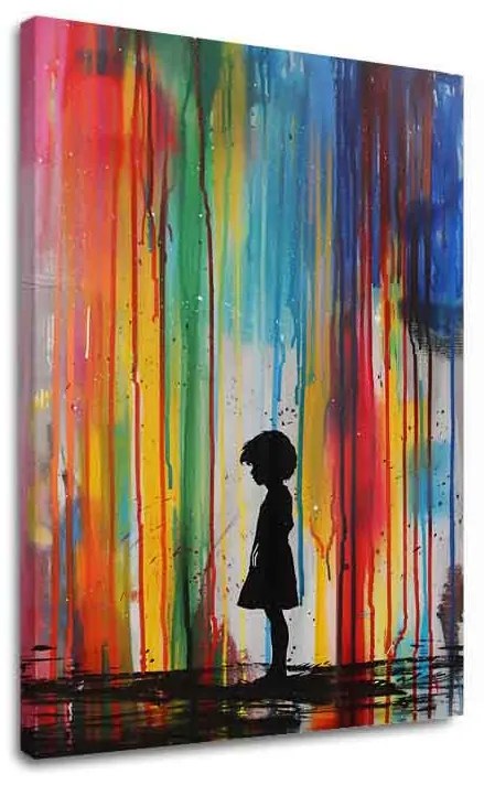 Obraz Rainbow Silhouette na plátne | Akrylové detaily