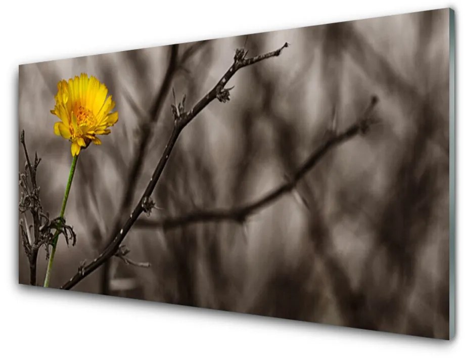 Obraz na skle Vetva kvet 125x50 cm