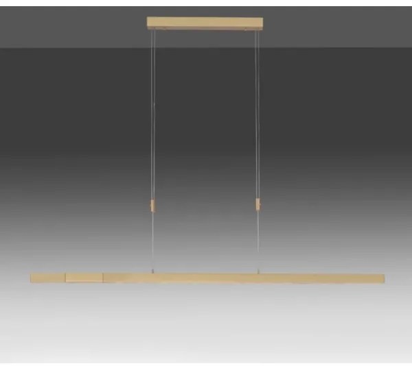 Paul Neuhaus 2568-60 - LED Stmievateľný luster na lanku ADRIANA LED/14W/230V mosadz