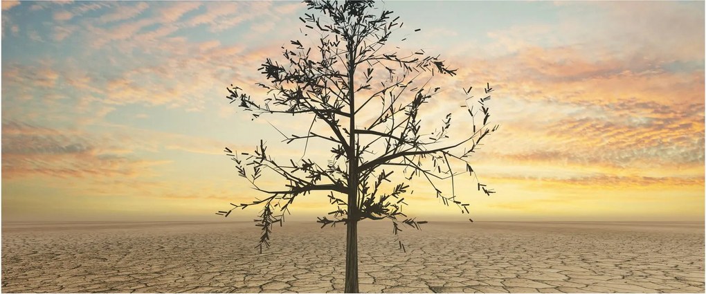 Obraz - Strom na púšti (120x50 cm)