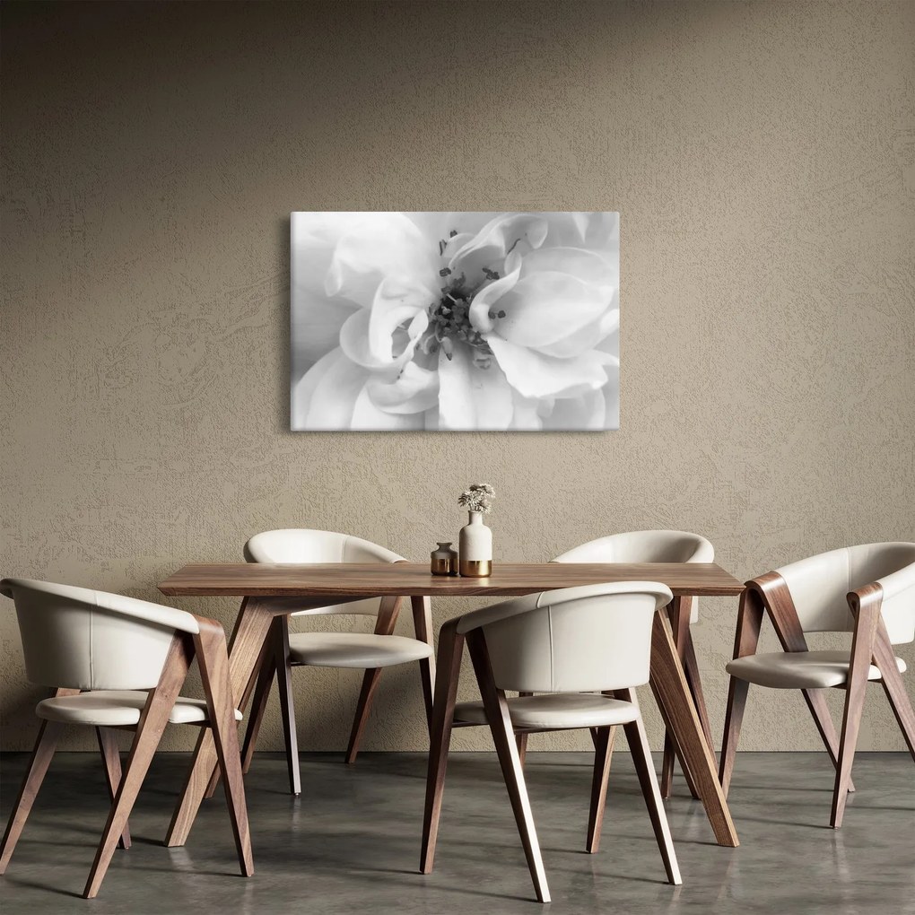 Obraz - Kvet, čiernobiela (90x60 cm)