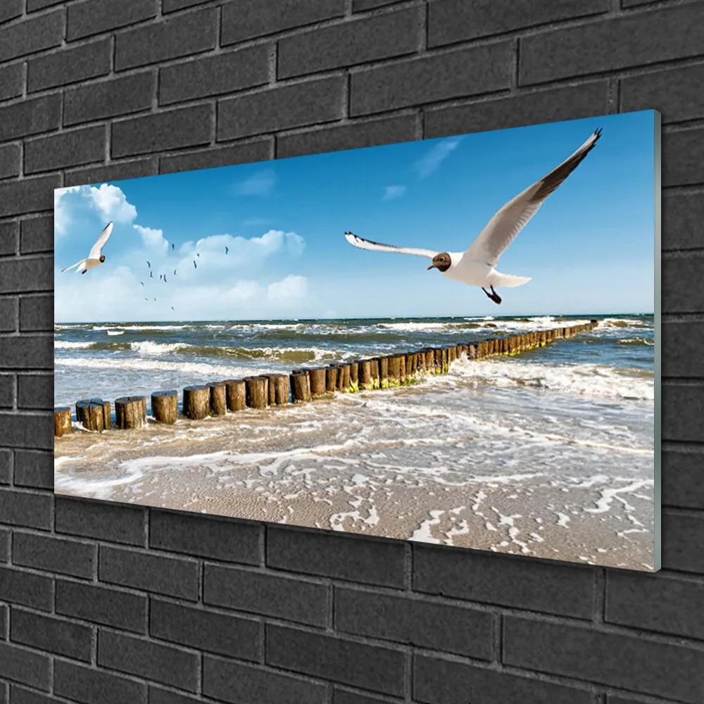 Skleneny obraz Čajky more príroda 125x50 cm