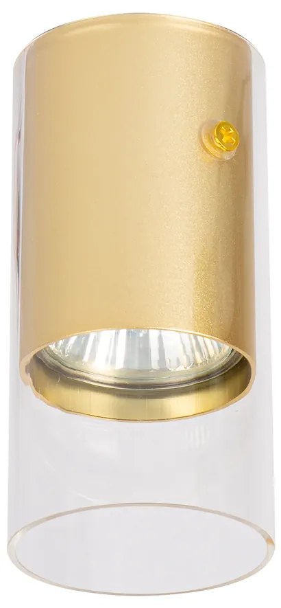 Stropné svietidlo Ricky, 1x zlaté/transparentné plastové tienidlo