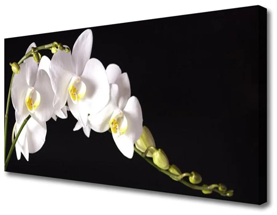 Obraz na plátne Kvety rastlina 120x60cm