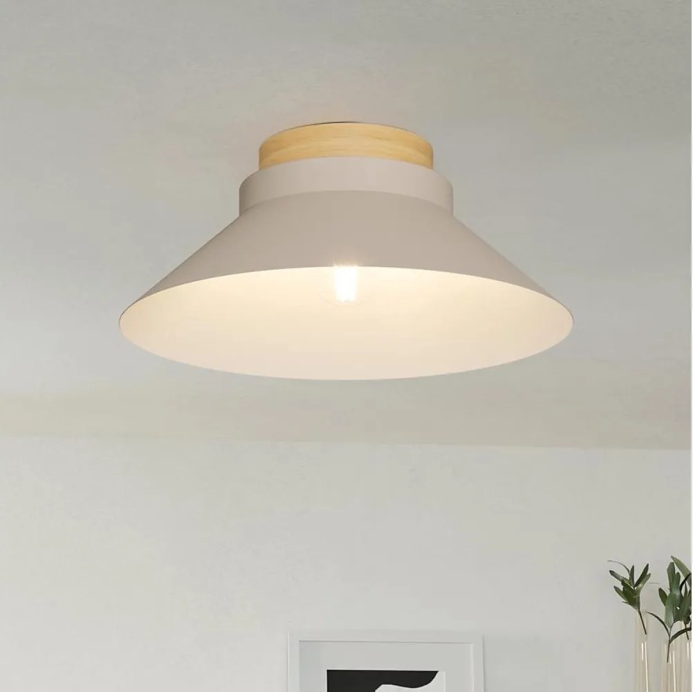 Eglo 900736 - Stropné svietidlo MOHARRAS 1xE27/40W/230V