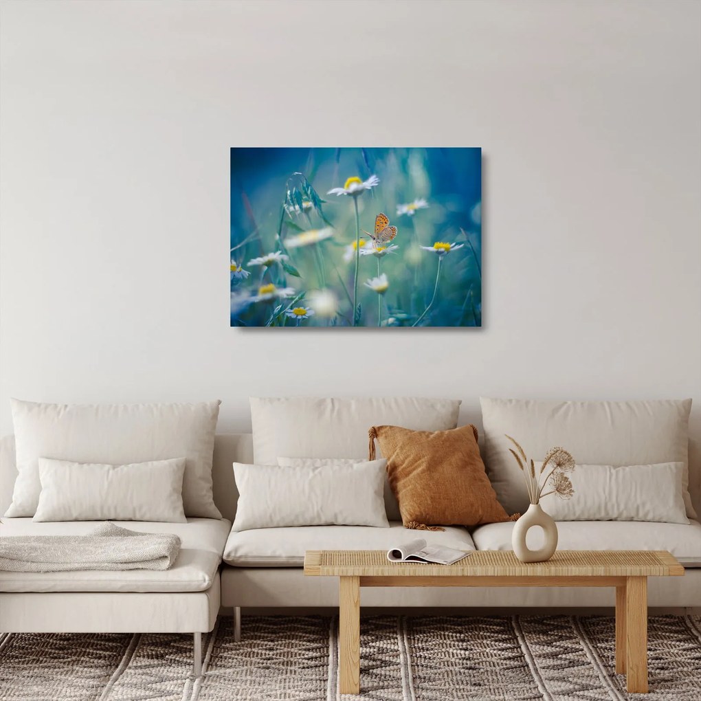 Sklenený obraz - Motýľ na sedmokráske (70x50 cm)