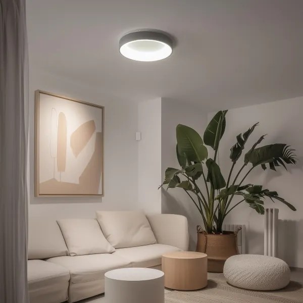 Brilagi - LED Stmievateľné stropné svietidlo LED/40W/230V 3000-6500K šedá + DO