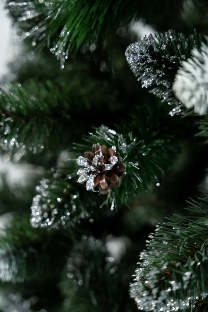 Limpol Vianočný stromček Borovica Verona Výška stromčeka: 240 cm