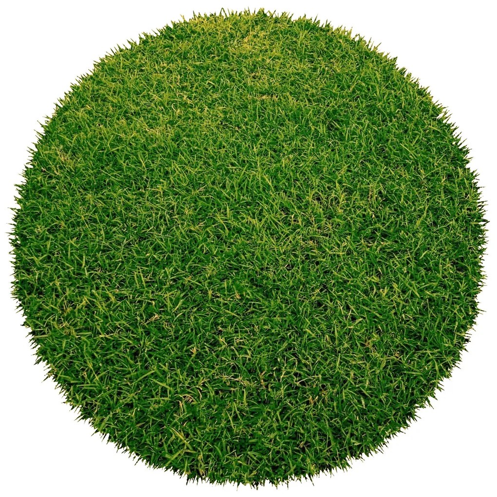 Europe Grass, Umelá tráva Botanic kruh, 300x300 (priemer) kruh, zelená, exteriér