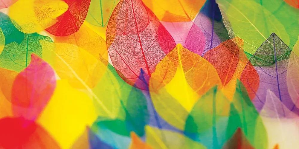 Obraz listy v jesenných farbách - 120x60