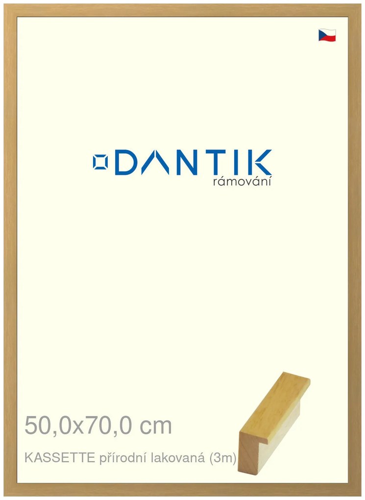 DANTIK rám na obraz 50x70 | KASSETTE přírodní lakovaná (Plexi Čiré)